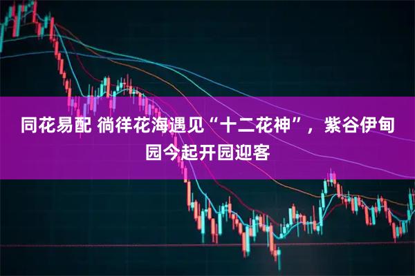 同花易配 徜徉花海遇见“十二花神”,紫谷伊甸园今起开园迎客
